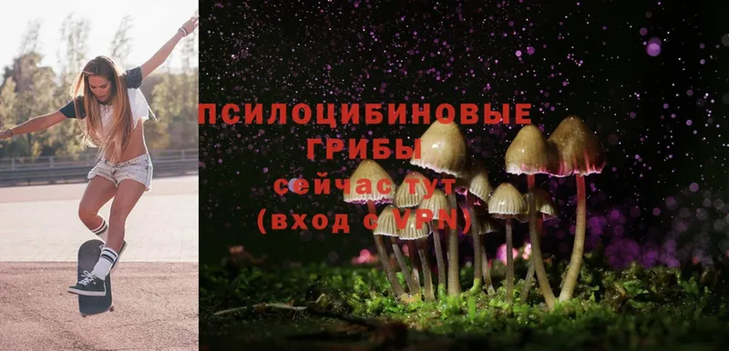 наркота  Лениногорск  мориарти официальный сайт  Галлюциногенные грибы MAGIC MUSHROOMS 